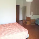 Surf Pier - Montagnoli Group