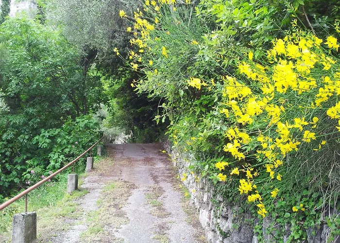 Surf Pier - Montagnoli Group Hotel